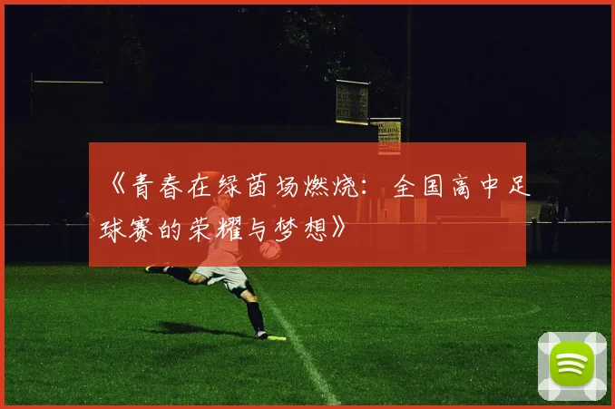 《青春在绿茵场燃烧：全国高中足球赛的荣耀与梦想》