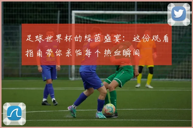 足球世界杯的绿茵盛宴：这份观看指南带你亲临每个热血瞬间