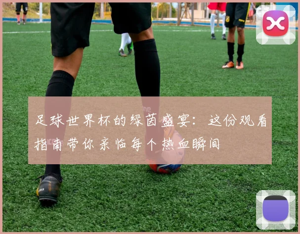 足球世界杯的绿茵盛宴：这份观看指南带你亲临每个热血瞬间